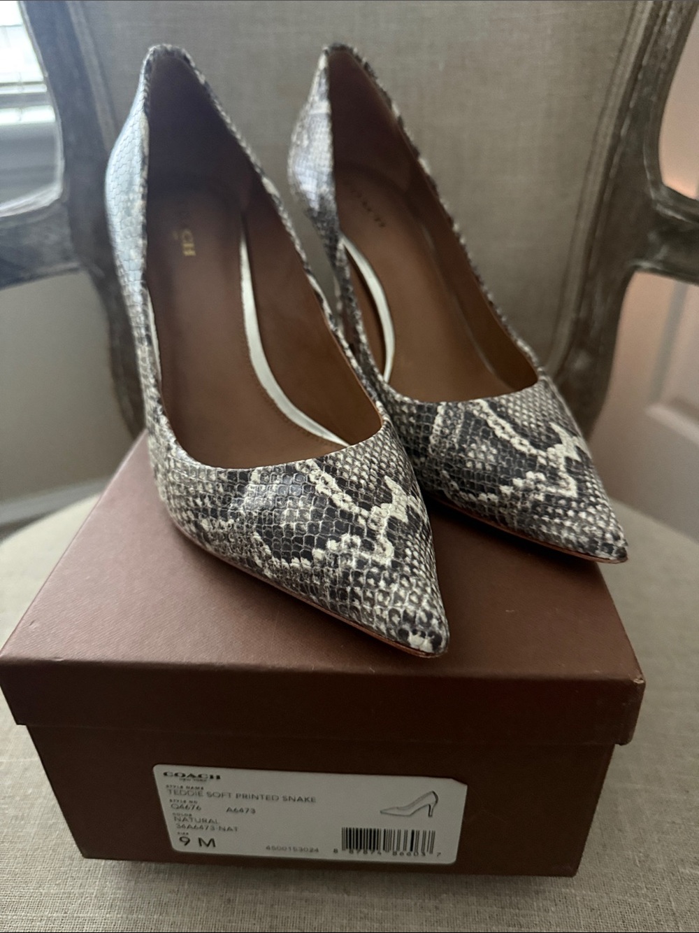 Coach Women's Snake-Print Teddie Pointed Toe Pumps - Natural